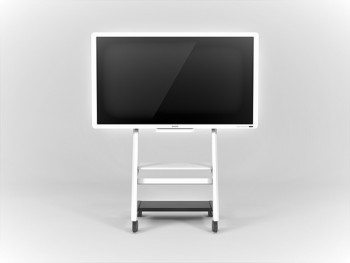 Interactive Whiteboard D6500