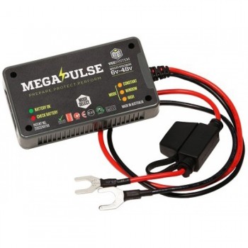 Megapulse Battery Conditioners