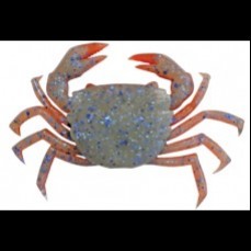 Strike Pro Enticer Crab Sand Crab UV
