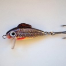 Bullet Lures Brook Trout Minnow