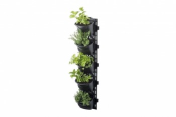 Build a Living Wall Vertical Garden