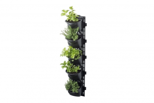 Build a Living Wall Vertical Garden