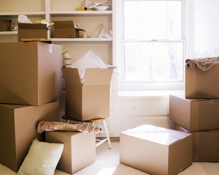 Movers n packers