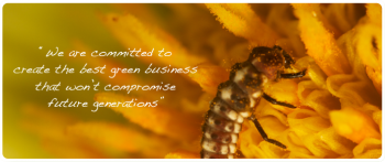 easy on earth pest control - cockroach control Treatment