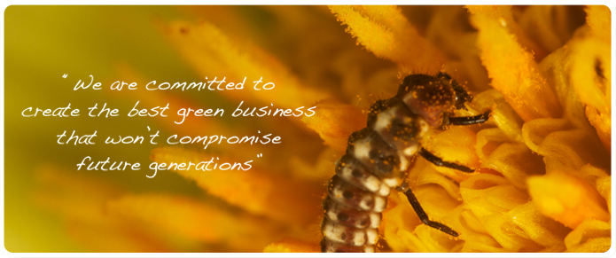 easy on earth pest control - cockroach control Treatment