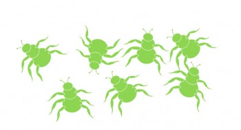 sydney best pest control - spider control treatment