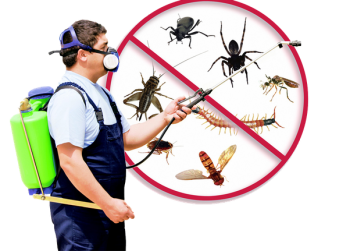 Eco solutions pest control - local pest control