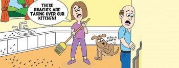 Reliance pest management - house pest control Service