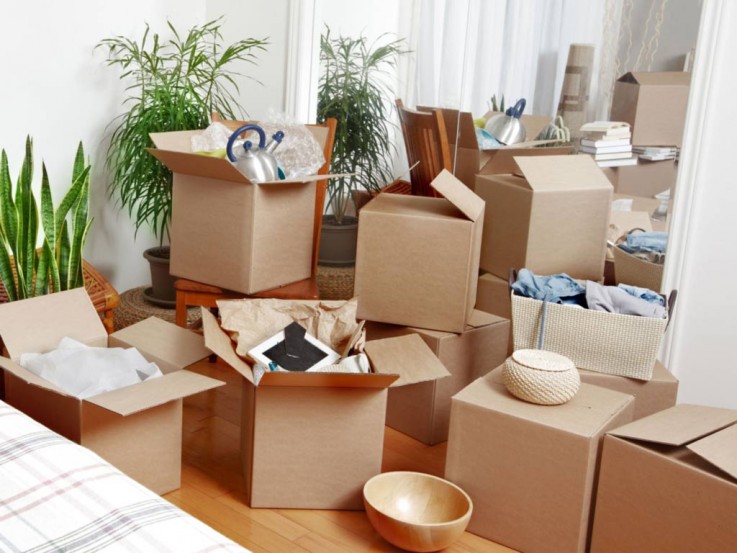 Bill Removalists 