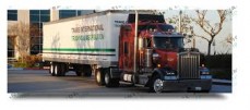  Trans International