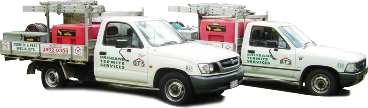 Brisbane Termite services - home pest control Service 