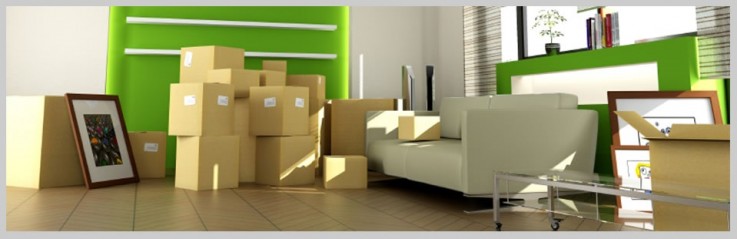 Melbourne CBD Removals 