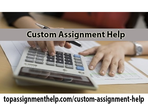 Custom Assignment Help