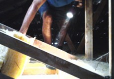 Termite rescue - cockroach control Service