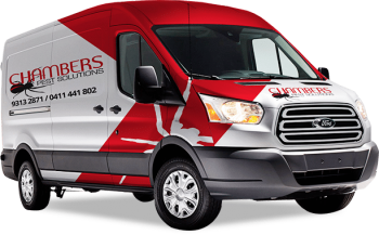 Chambers pest solutions termite control Srevice