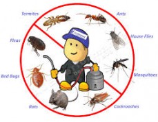 VIP pest control organic pest control Service