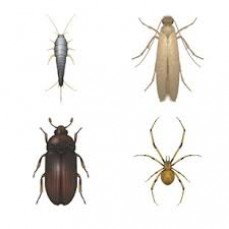 COMPETITIVE PEST SERVICES