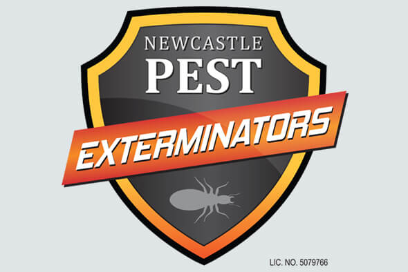 Newcastle pest exterminators Residential & commercial 