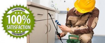 ACT pest control local pest control Service