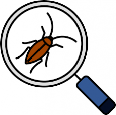 Threebest rated best termite treatment