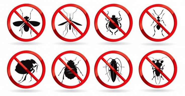 Express pest control