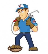 Northern rock pest control