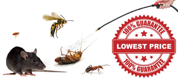 Pest Investigators pest management services and advice