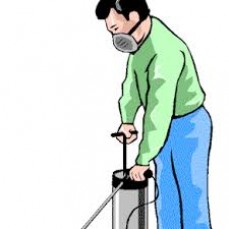 Natural Pest Control