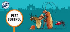 The exterminator pest control