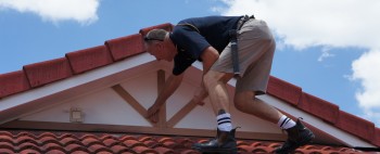 inspect my home