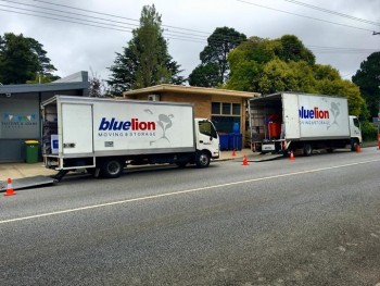 Blue Lion Moving Services