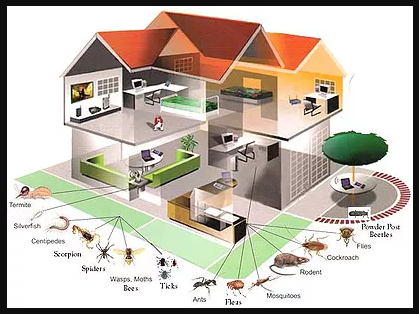 All Things pest control