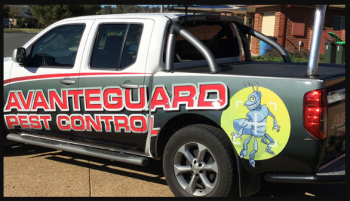 Avanteguard pest control