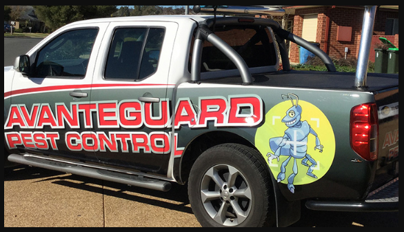 Avanteguard pest control