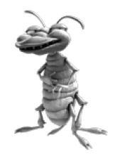 Amalgamated pest control