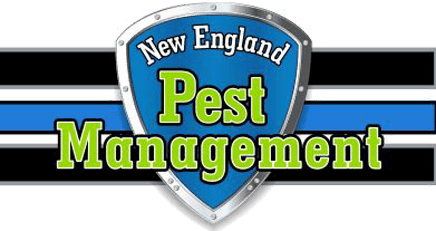  New​ ​England​ ​Pest​ ​Management​ 