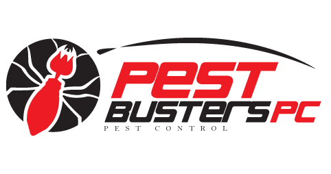 PEST BUSTERS PC Pest Control Tamworth and Armidale