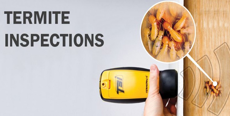 AFFORDABLE PEST CONTROL