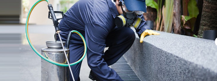 Pest control service