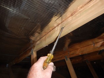 Australian termite solutions