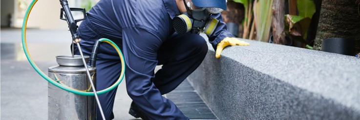 perimeter pest control