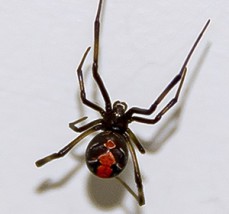 Portside pest control