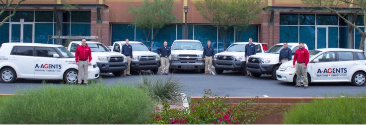 A-Agents inspection termites and pests