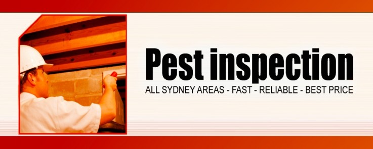 Beat the bug pest control