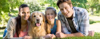 Mr Bugs Pest Control