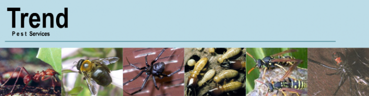 TREND Pest Services