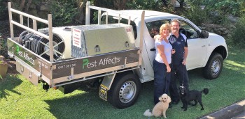 Pest Affects