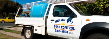 solar city pest control