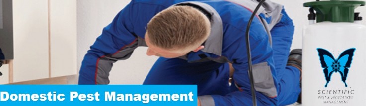 Scientific Pest and Vegetation Management