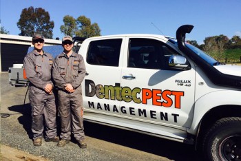 Dentec pest management